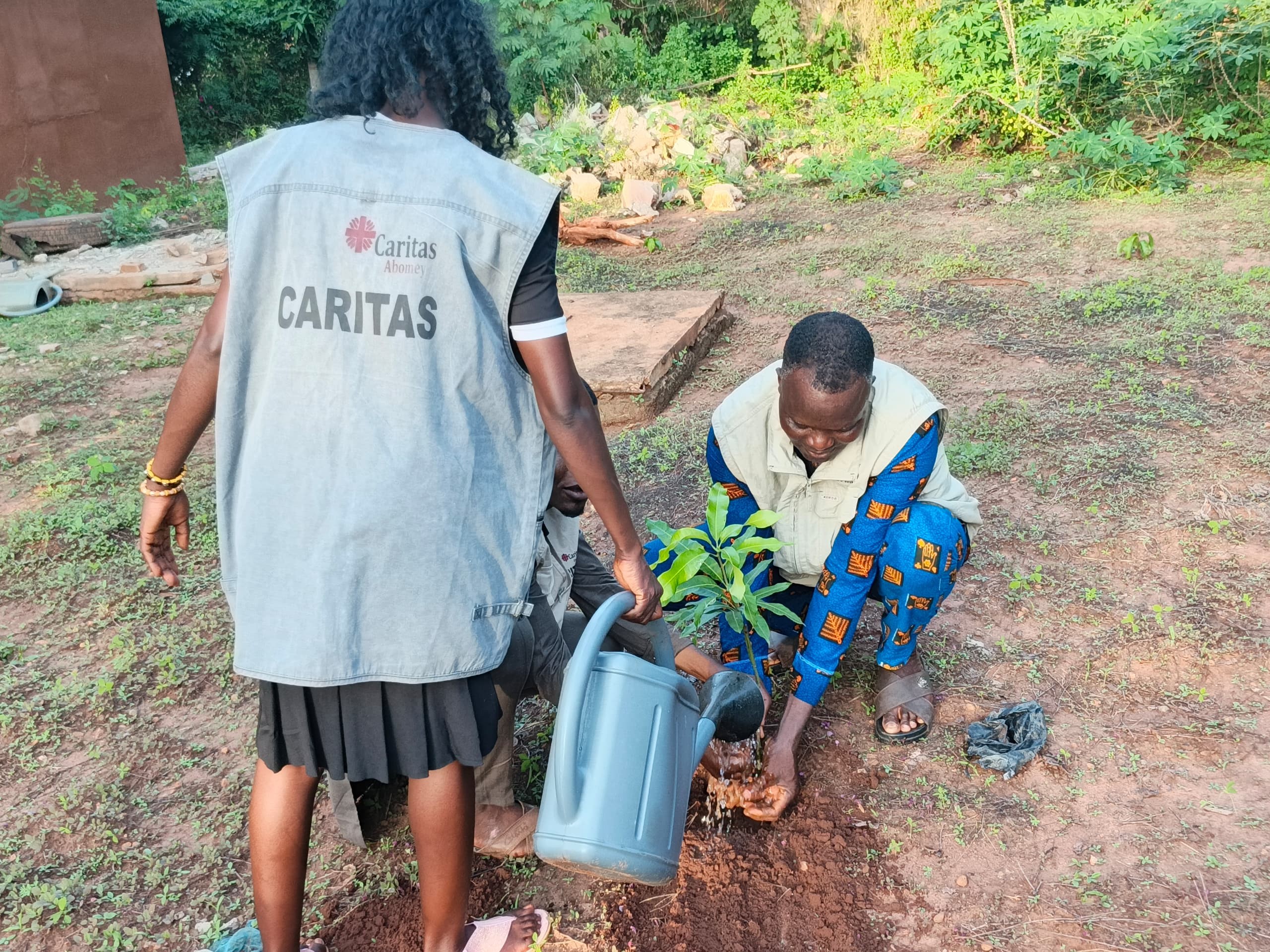 42e Journée Nationale de l’Arbre : Caritas Abomey agit pour une écologie intégrale