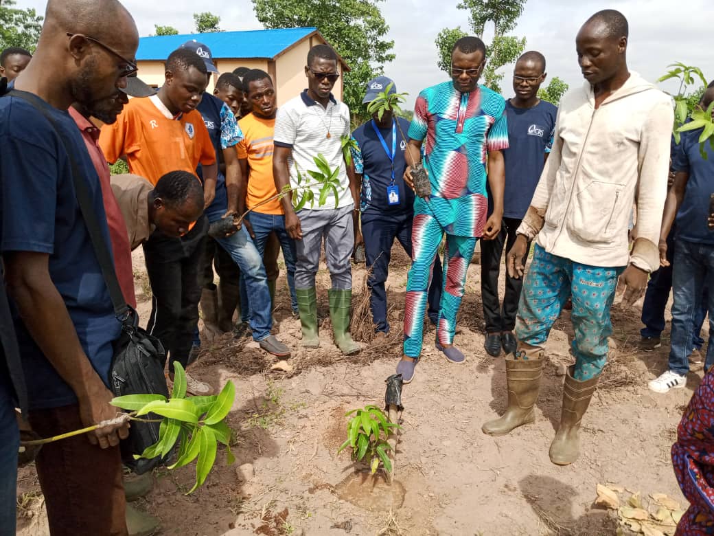 ARTICLE SUR L’ACTIVITE DE REBOISEMENT A LA FERME ECOLOGIQUE DE CARITAS-BDBD SISE A MAREBOROU