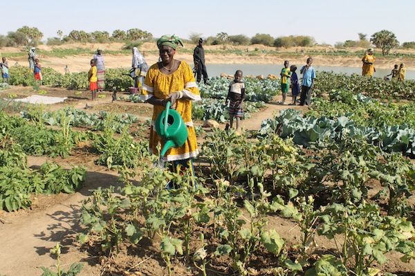 GTCIS de Madrid : Gérer les urgences et assurer la sécurité alimentaire au Sahel