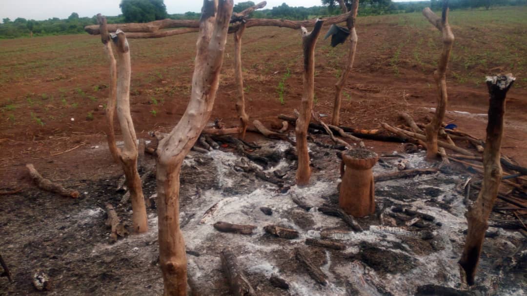 Bénin, conflits liés à la transhumance