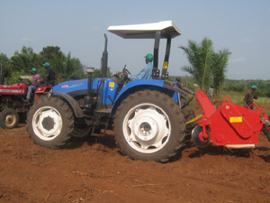 fermeglo1